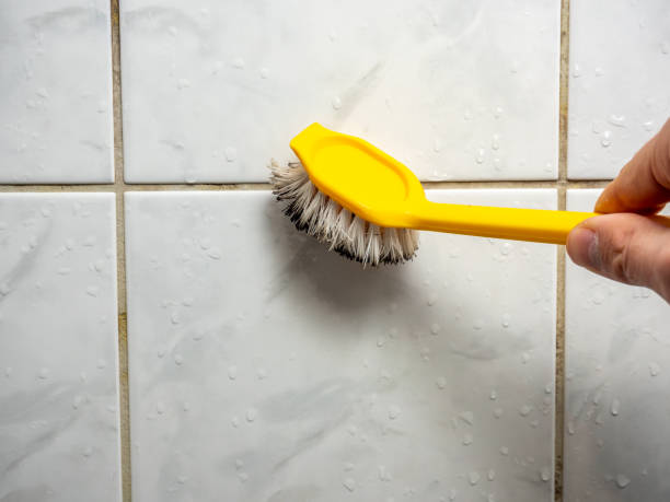 Best Local Mold Removal Service  in Swoyersville, PA