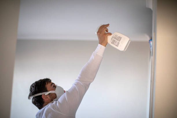 Best Certified Mold Removal  in Swoyersville, PA